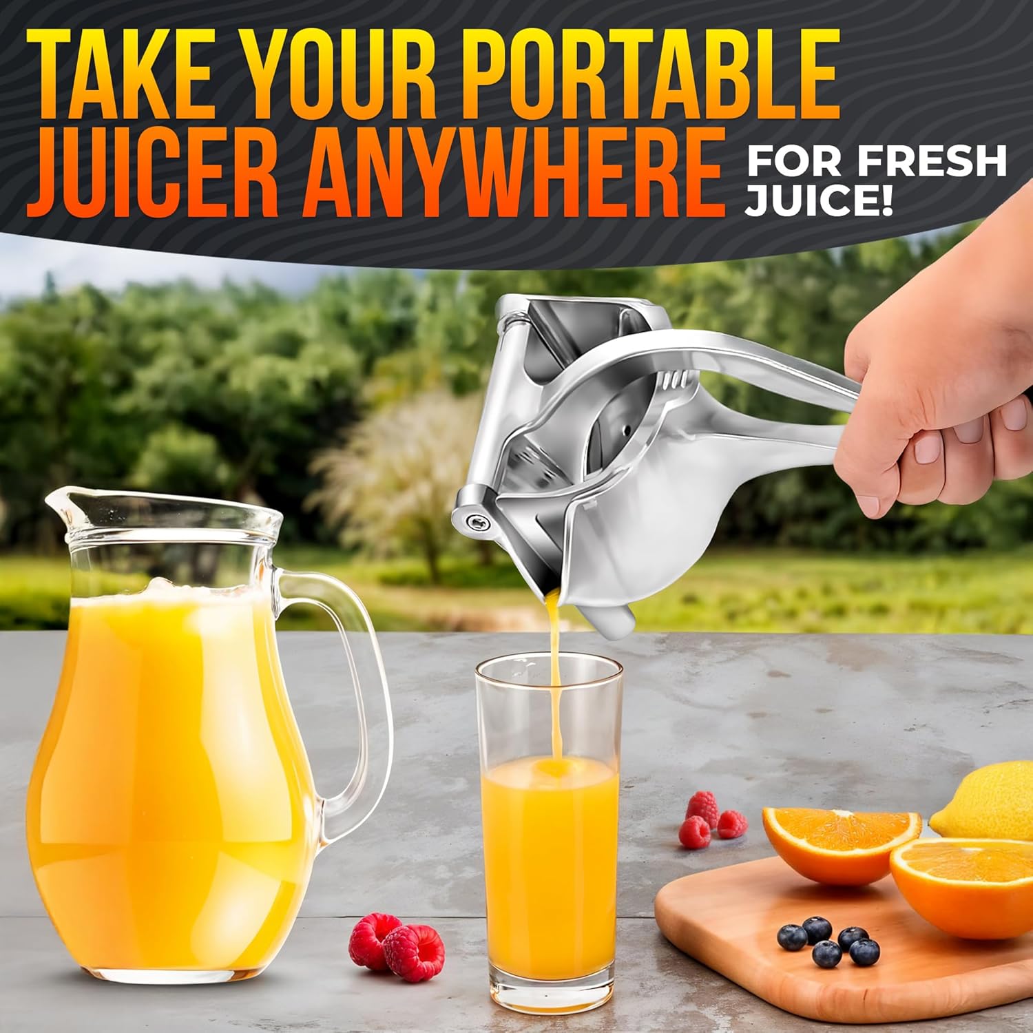 Fruit Juice Squeezer